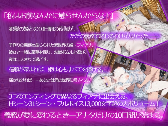 ツンデレ姫と夜伽の10日間～異世界で子作り命じられました～