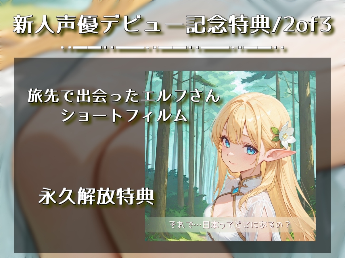 旅先で出会ったエルフさんが身も心もち◯こも癒やしてくれるやーつ【耳ペロ音声版】 – Preview 3