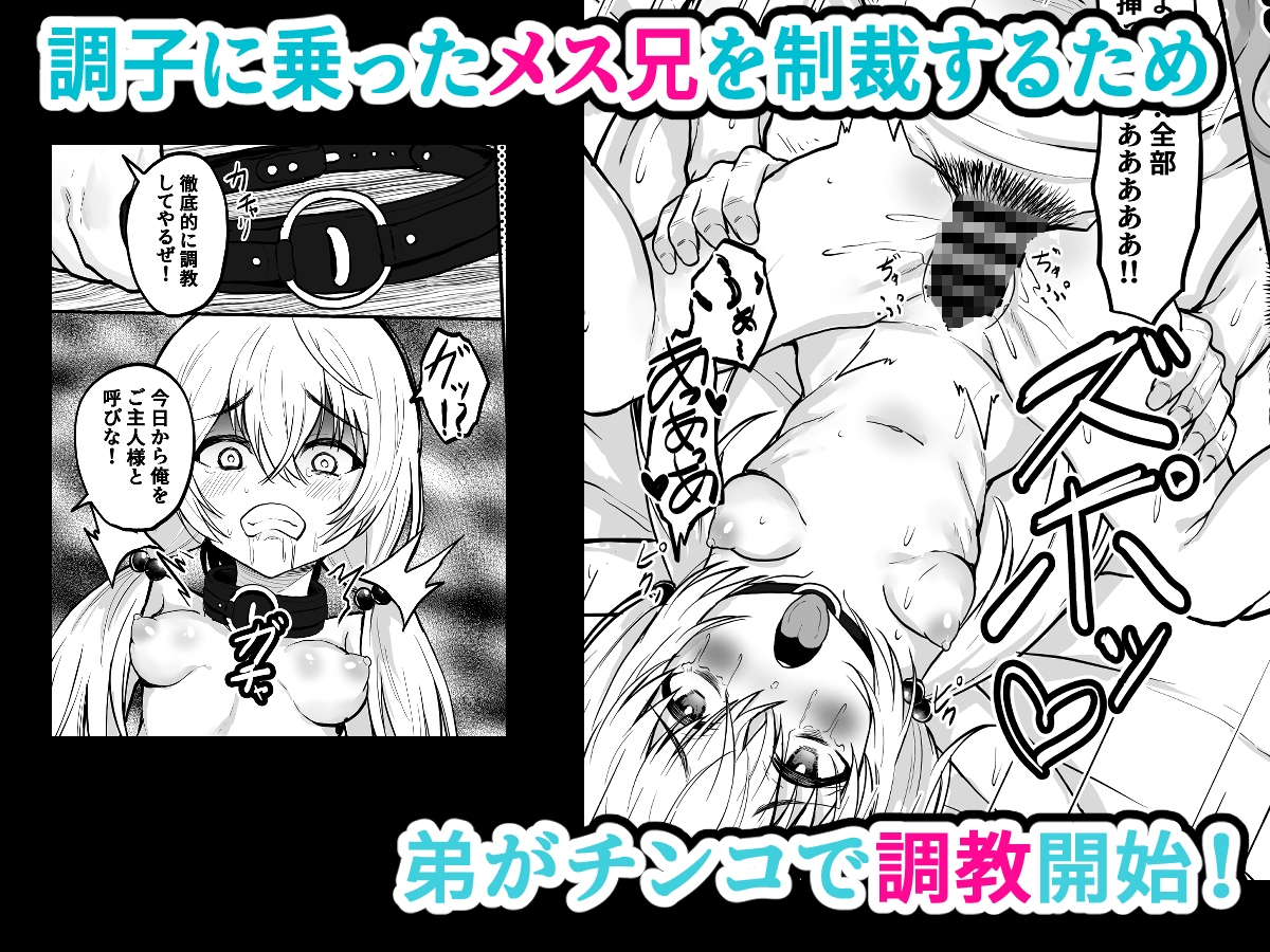 TSメス兄 性転換した兄を調教して飼いならす！