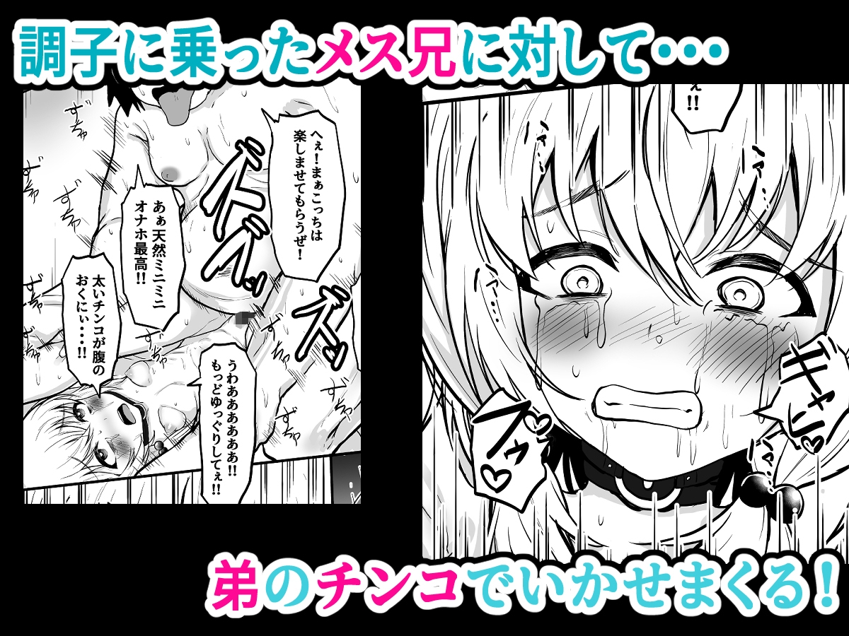 TSメス兄 性転換した兄を調教して飼いならす！