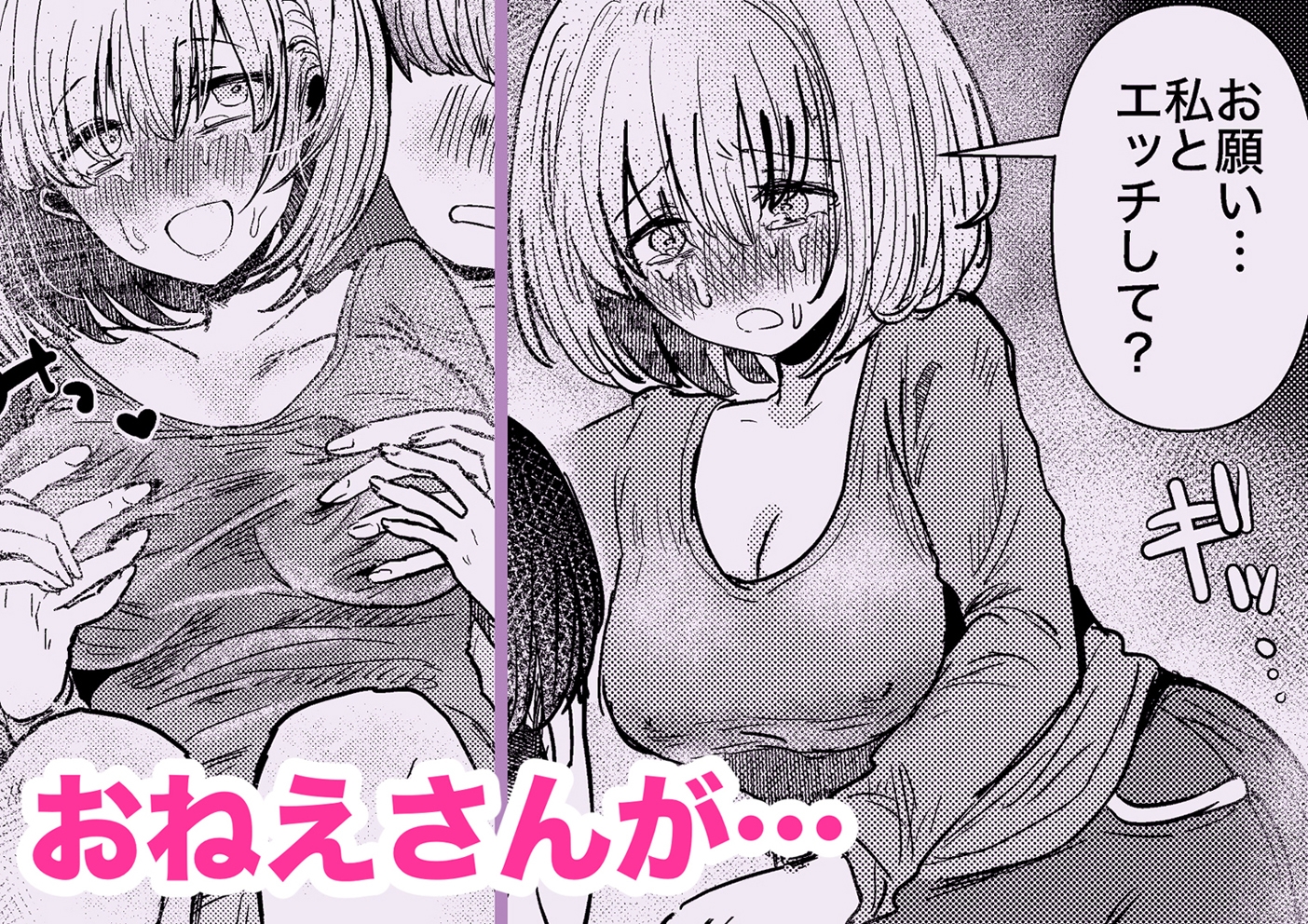 社畜の限界おねえさんを拾いまして