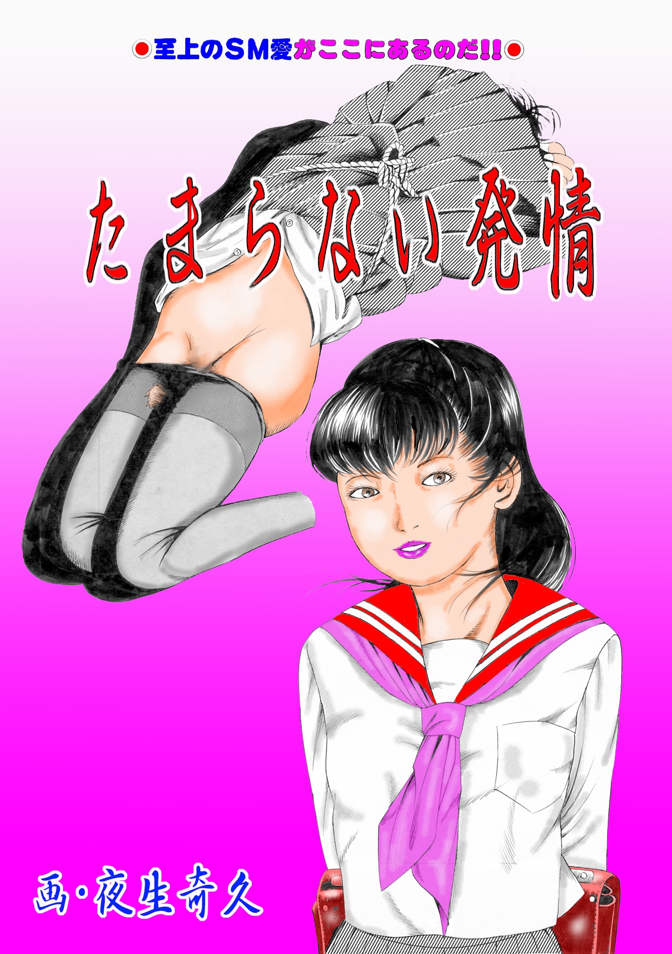 夜生奇久作品集9 少女地獄3作品 – Preview 2