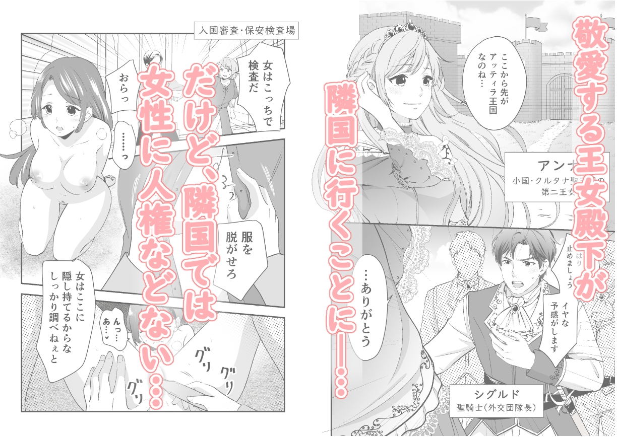 人権がなくなった王女殿下 ～入国審査編～