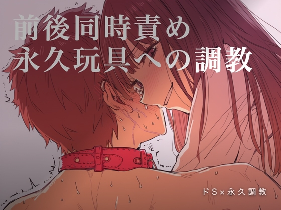 前後同時責め 永久玩具への調教 – main preview