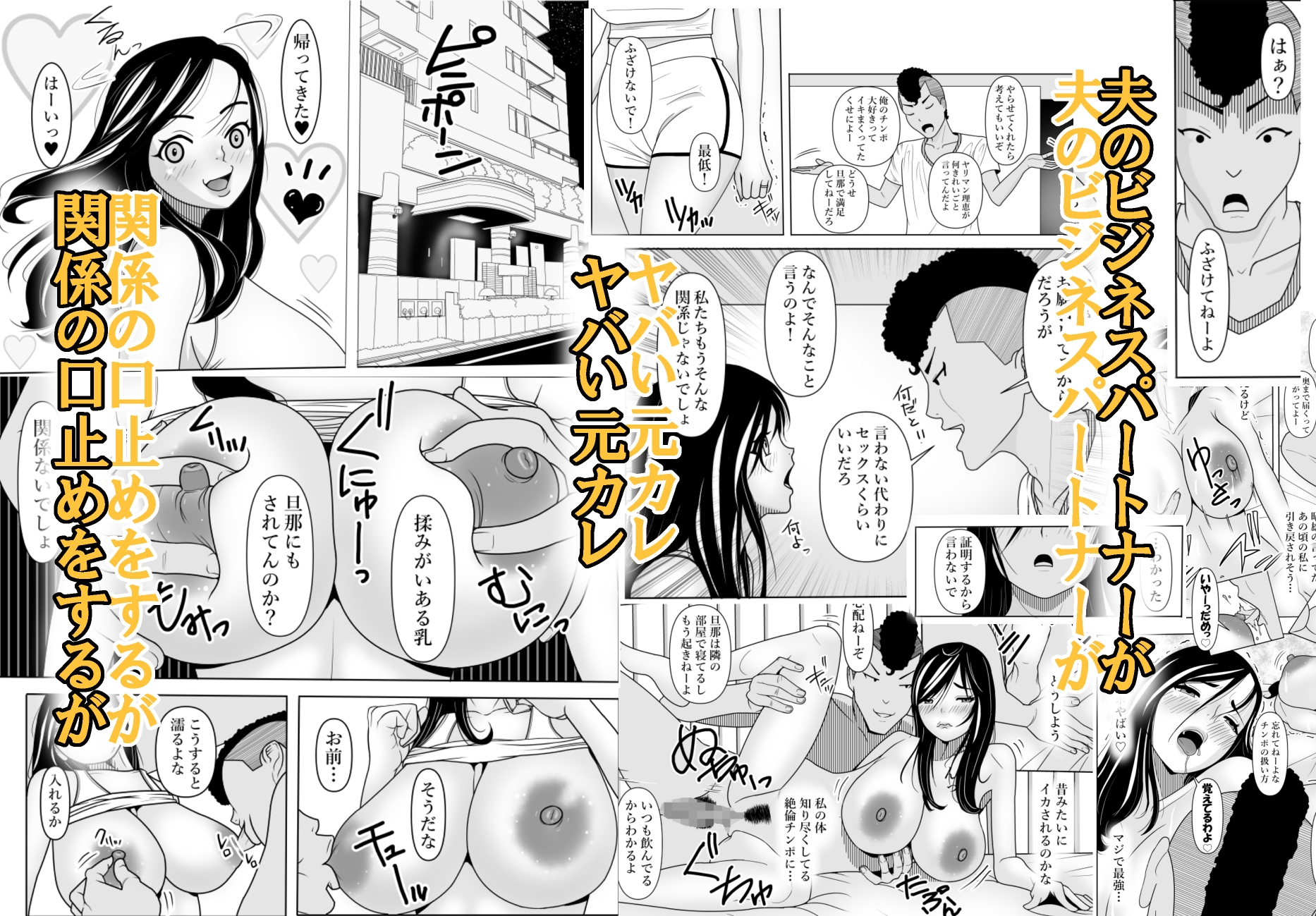 主人に言えない～私の秘密～