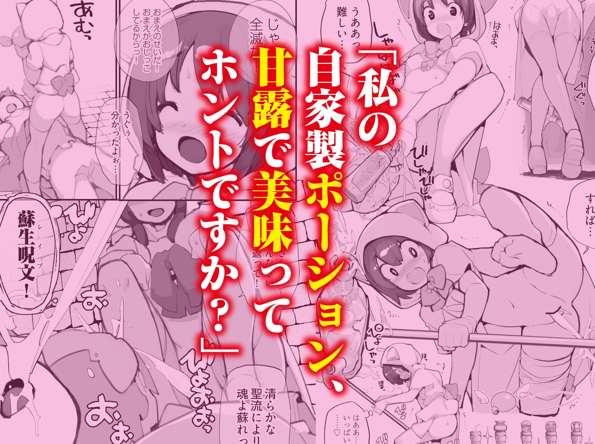 聖水賢者のダンジョン攻略日誌 VOL.1