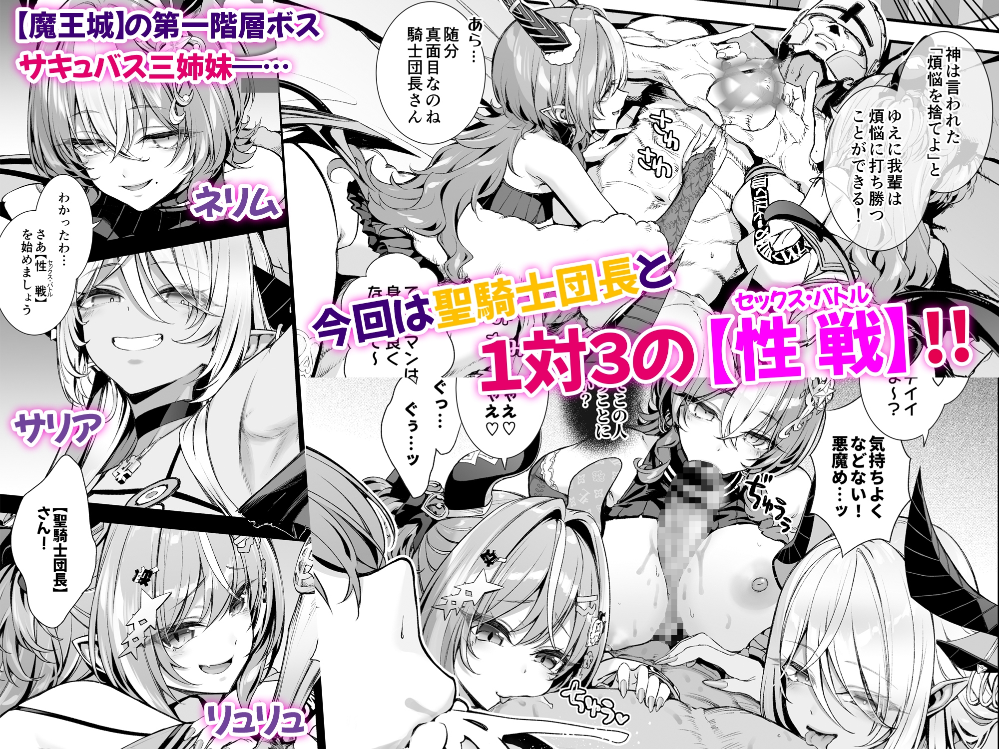 魔王城のサキュバス2 〜VS.聖騎士〜 – Preview 2