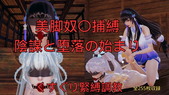 美脚奴〇捕縛 陰謀と堕落の始まり – main preview