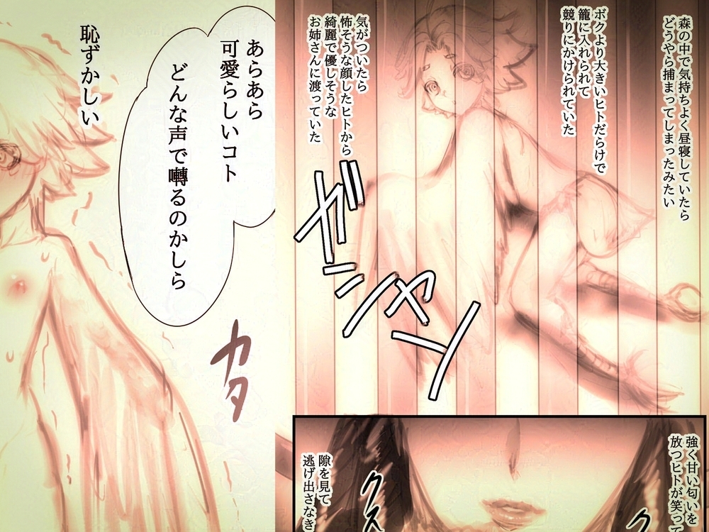 カナピュリオ-ショタハーピィは巨女に請い奏でる- – Preview 3