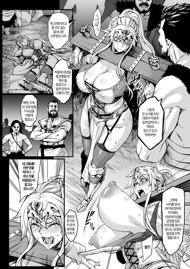 【韓国語版】敗惨姫騎士