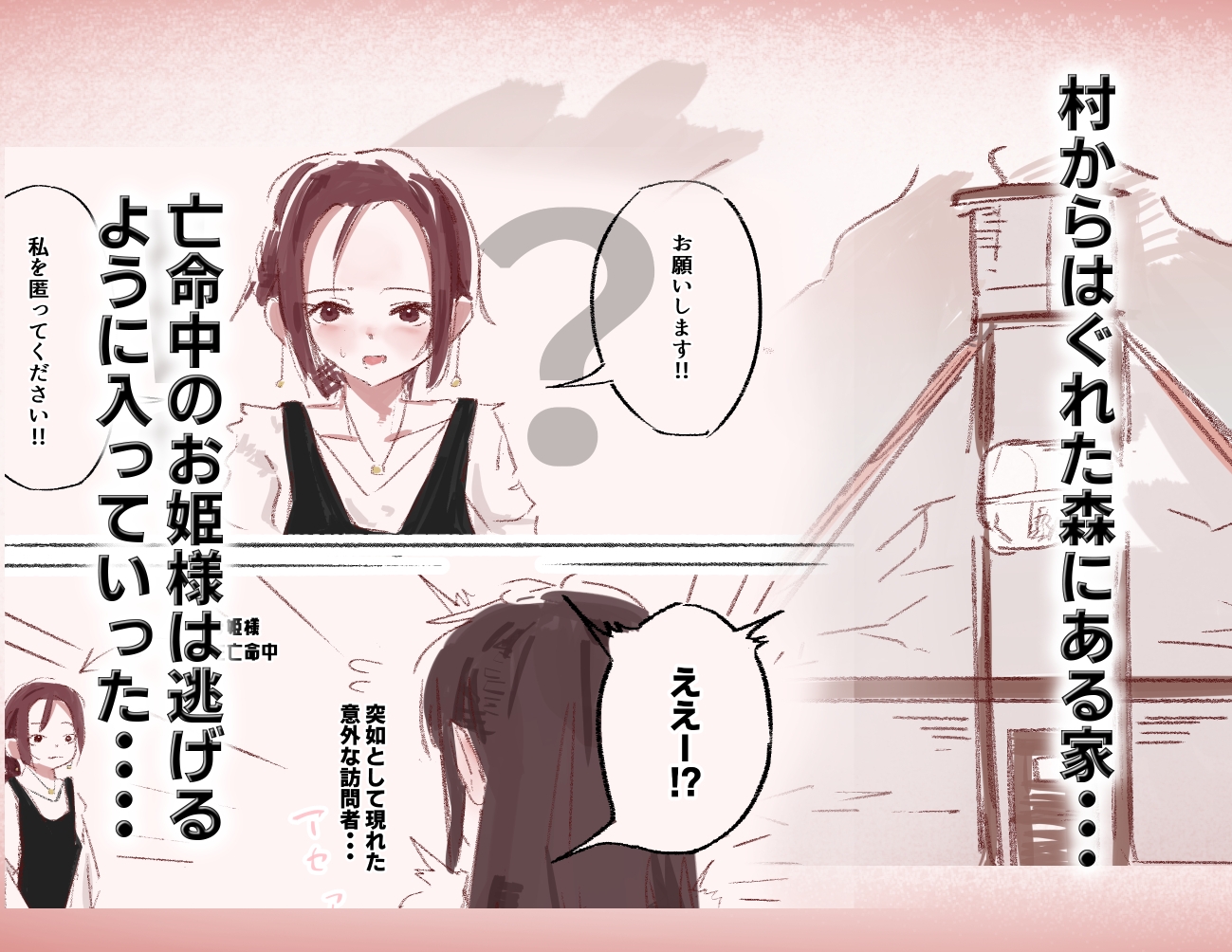 亡命お姫様はふたなりお姉さんのオナホ – Preview 2