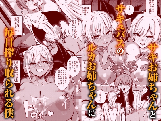 サキュバスと僕3 〜お姉ちゃんは僕だけの孕ませOKお嫁さん〜 – Preview 2