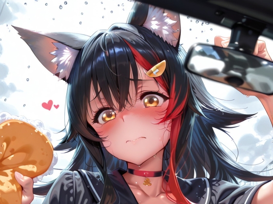 本当に指名した娘が来るソープランド！:大神〇オ