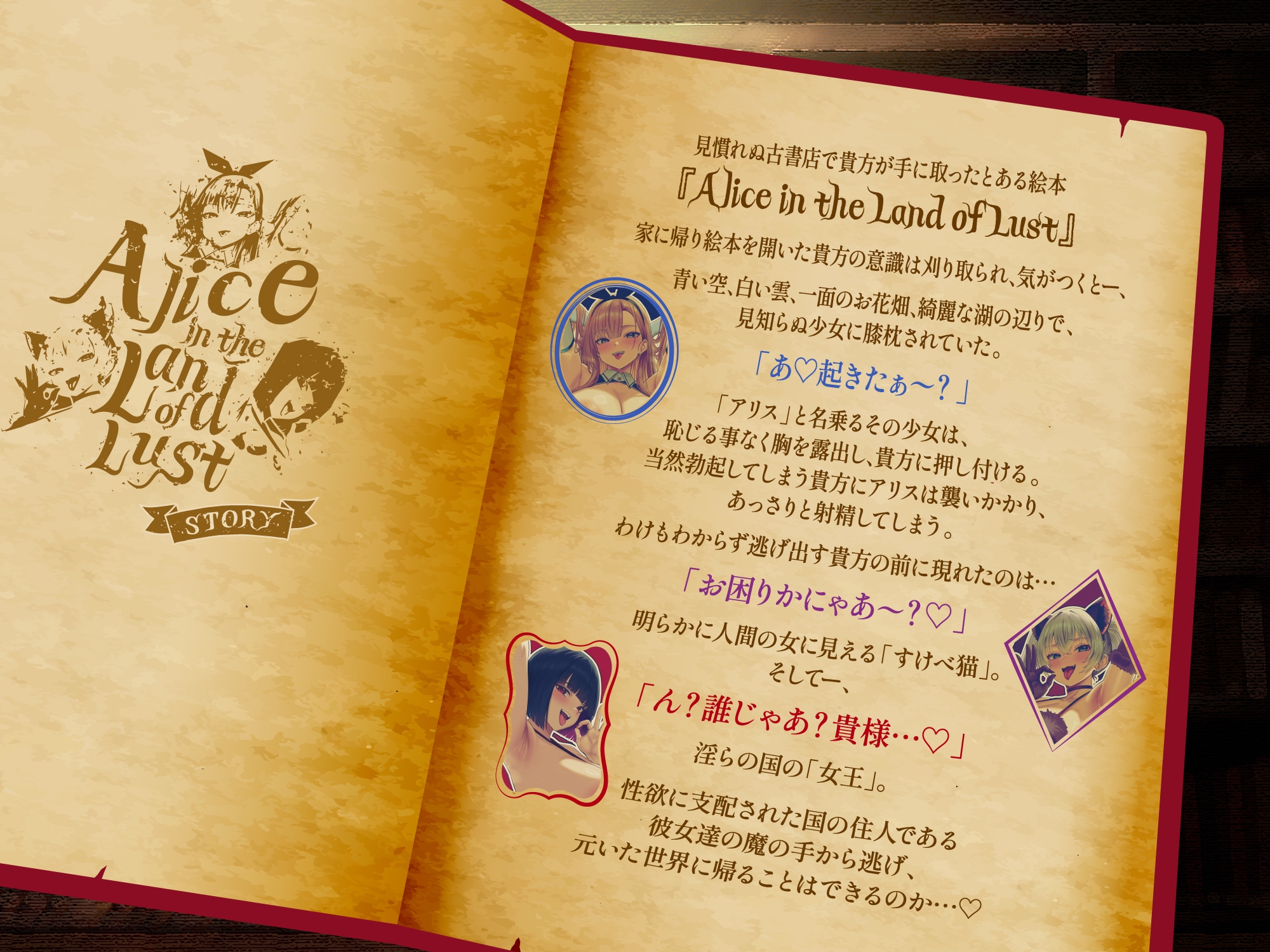【逆レ○プ】淫らの国のアリス〜古本屋で見つけた絵本の世界に迷い込んだ貴方と、淫らで不思議などすけべ物語〜