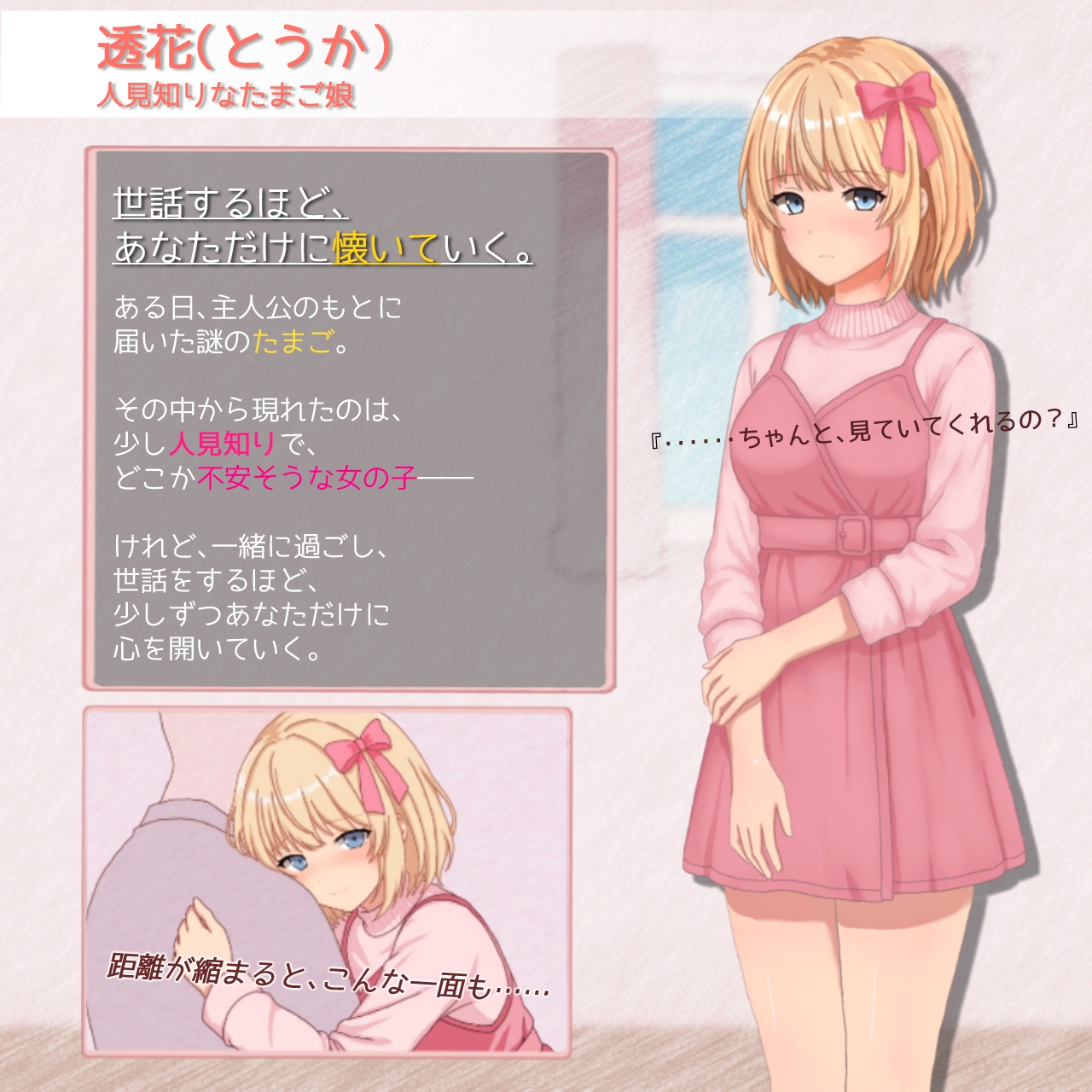 たまご娘と一緒！~透花の育成日記~