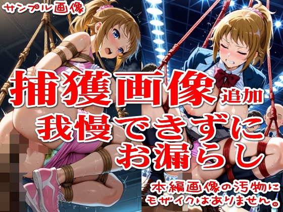 【500枚】粘着盗撮Vol.14「こんな可愛い子がウ●コなんてするはずがない」