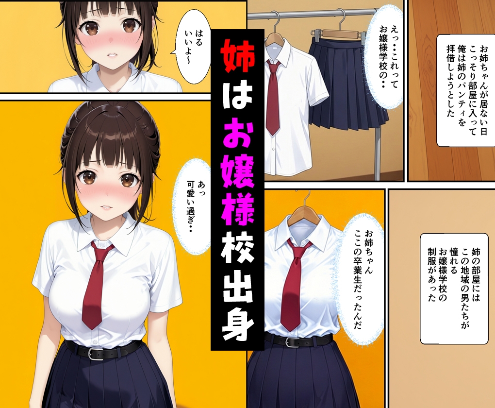 父親の再婚で出来た姉が可愛いだけでなくエロ過ぎて中出しした話