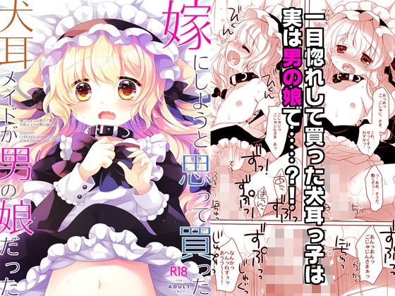 嫁にしようと思って買った犬耳メイドが男の娘だった – main preview