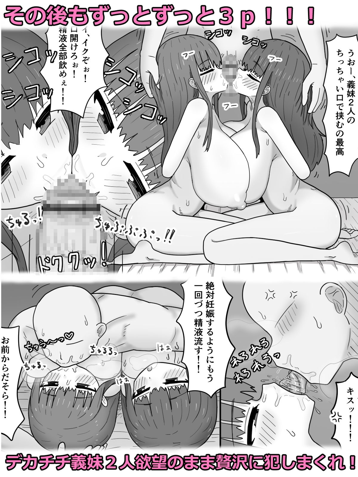 家で飼ってる引きこもり巨乳義妹×2と勢いで孕ませエッチした