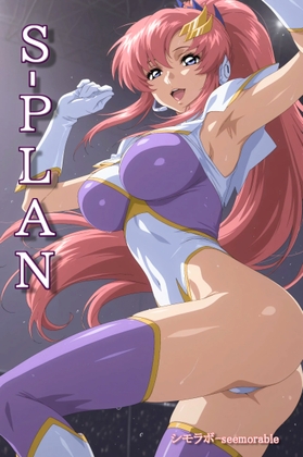S-PLAN