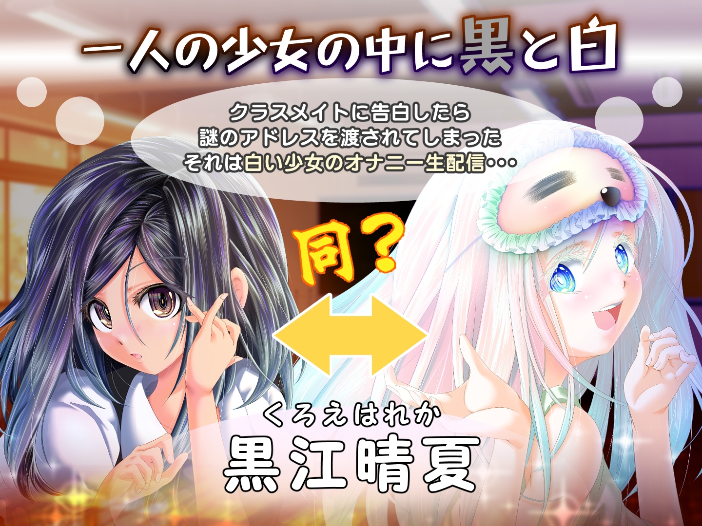 夕暮れまぐれの黒と白 – Preview 2