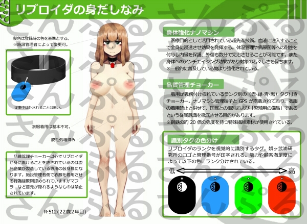 RIBROIDA―少子化対策特殊従事職員― – Preview 2