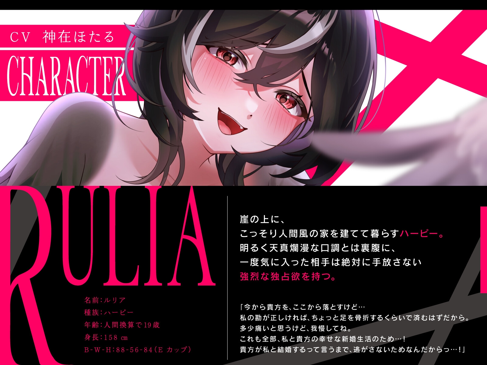 脱出不可能～ヤンデレハーピーの巣で強○らぶらぶ新婚生活～ – Preview 2