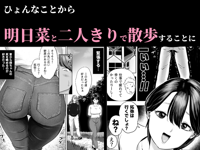 片思いの従姉のケツにチンポブチこんだった