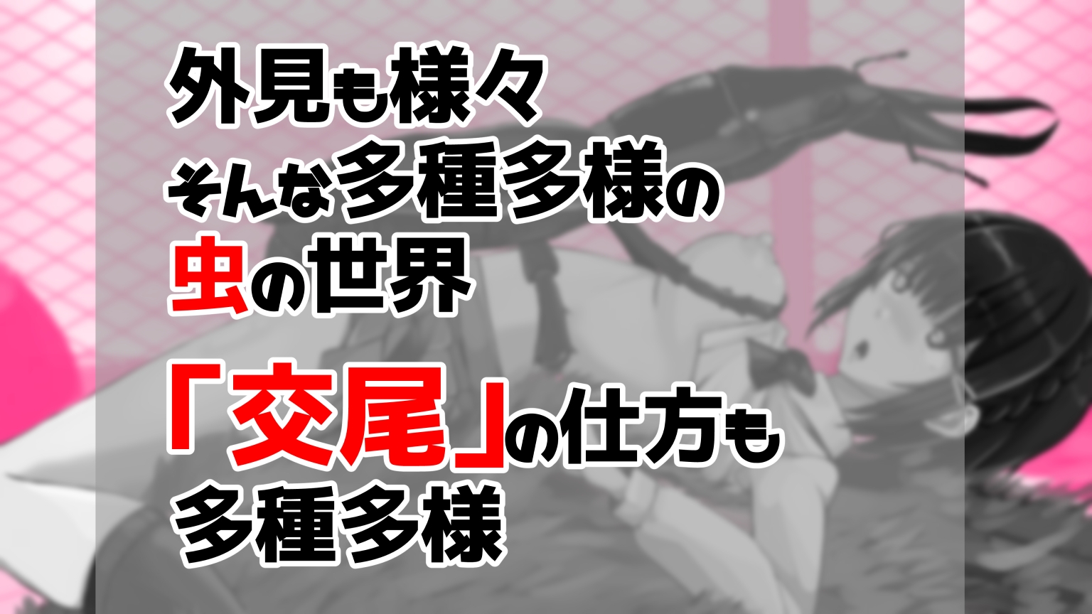 虫交尾図鑑 – Preview 2