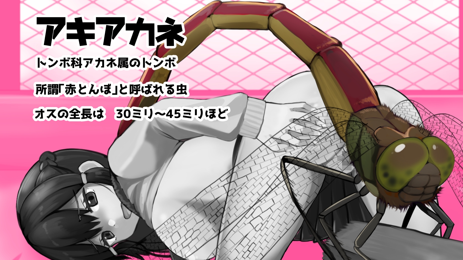 虫交尾図鑑 – Preview 4