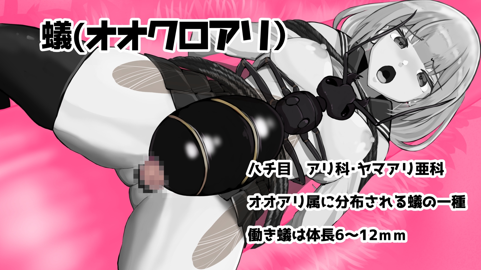 虫交尾図鑑 – Preview 5