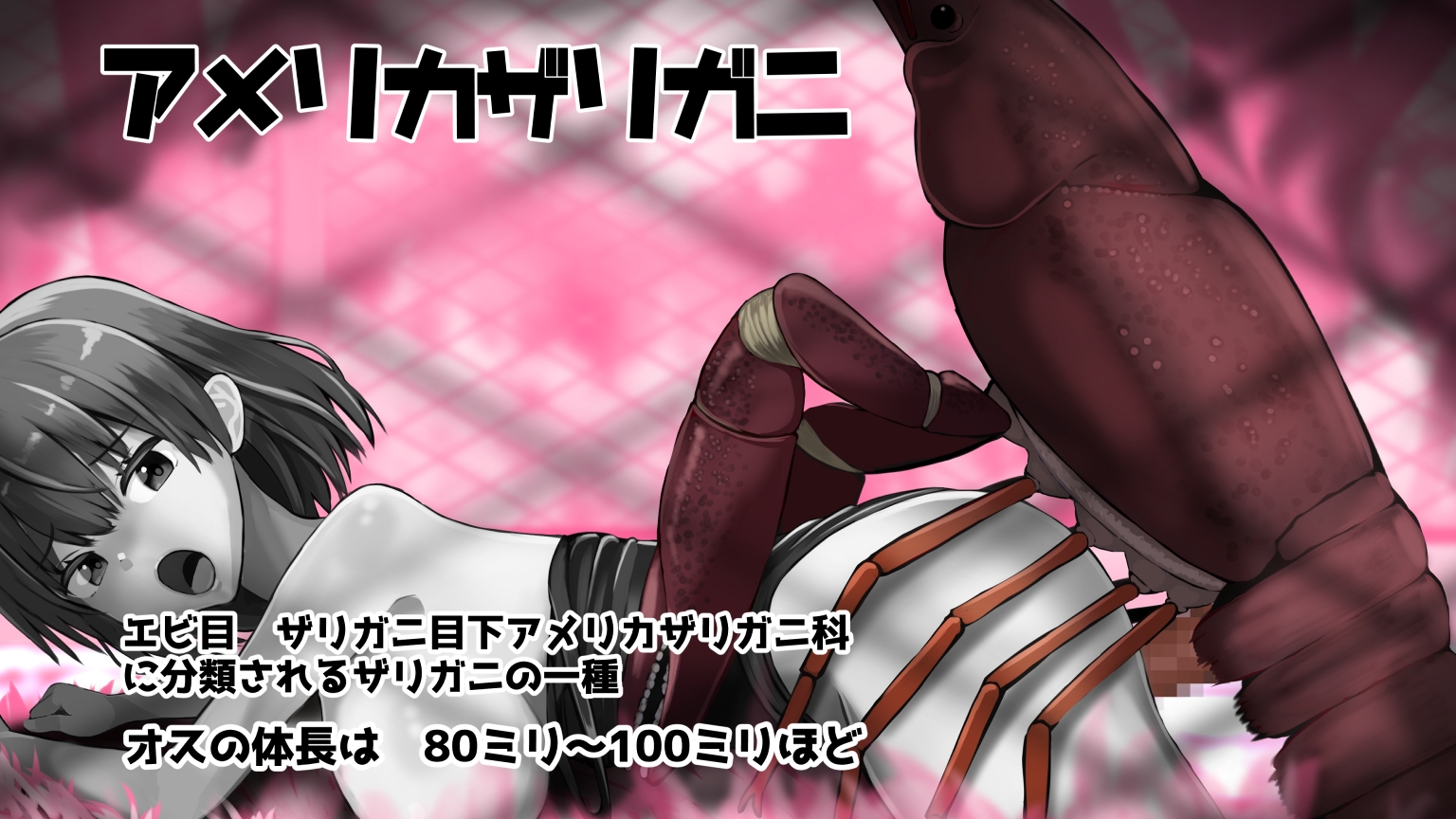 虫交尾図鑑 – Preview 6