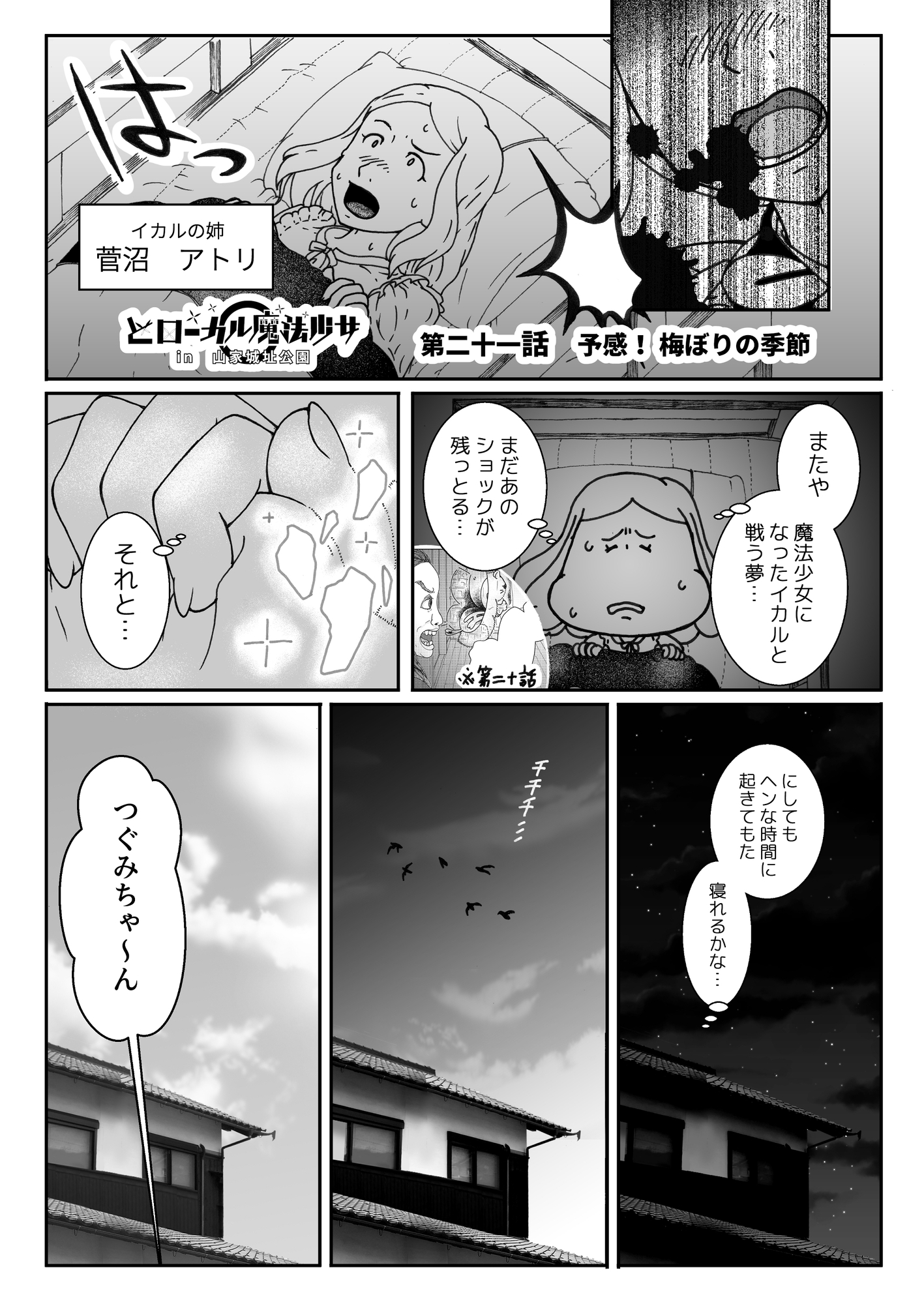 どローカル魔法少女in山家城址公園 5