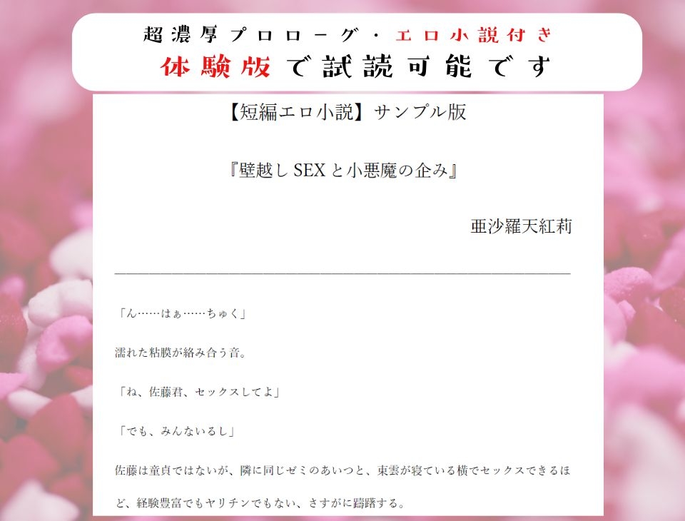 【壁越し/処女喪失/超濃厚エロ小説付き】「僕をオナホにしていいよ」 好きな子の交尾を聴きながら小悪魔僕っ娘を抱いたら、実は処女で、最後は本気なかだしセックス – Preview 5