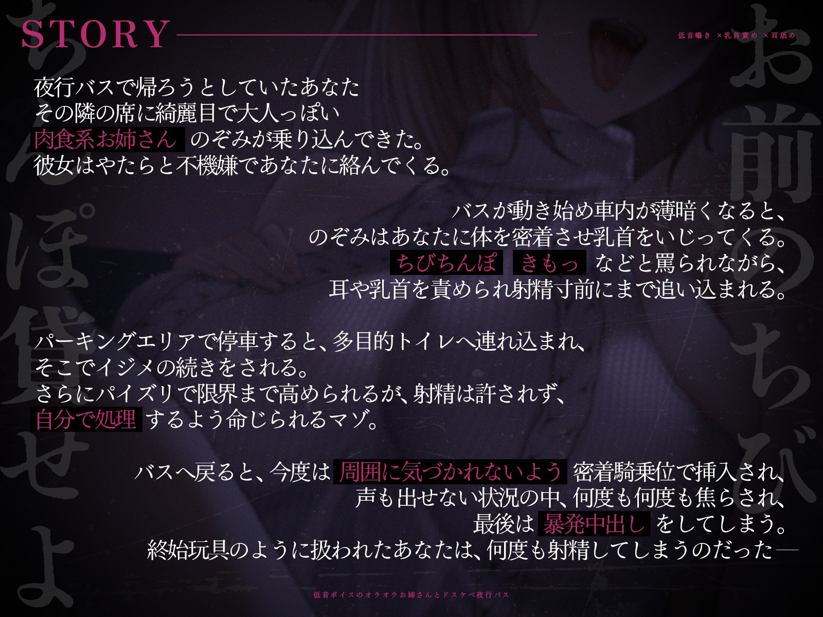 【低音囁き×乳首責め×耳舐め】「おい、お前のちびちんぽ貸せよ」低音ボイスのオラオラお姉さんとドスケベ夜行バス【CV沢野ぽぷら】 – Preview 3