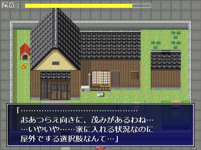 鍵がないと入れない便所 – Preview 3