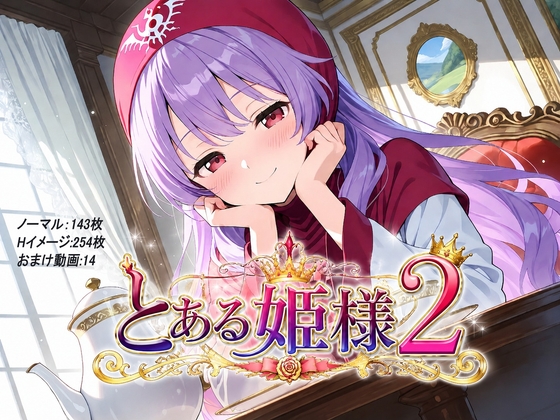 とある姫様2