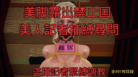 美脚露出禁止国 美人記者捕縛尋問 まとめ (全6話) – main preview
