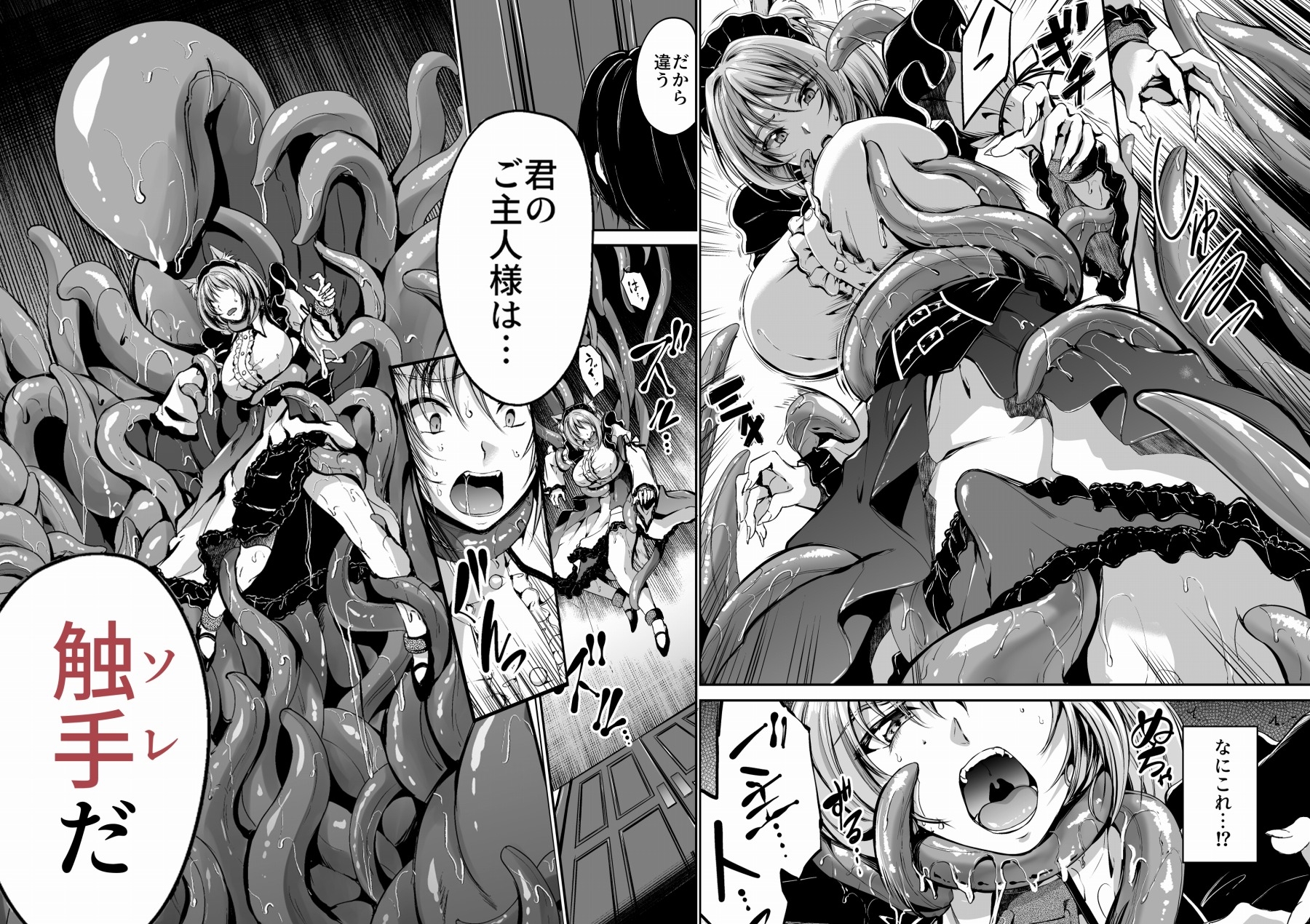 触手のご主人様 – Preview 4