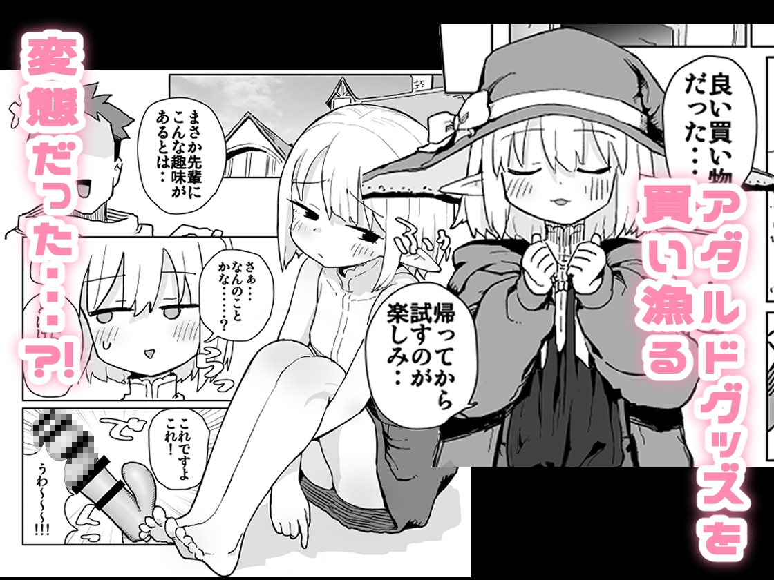 同じパーティーのクール系エルフが裏では大人の玩具で遊ぶ変態だったのでセックスすることにした – Preview 3