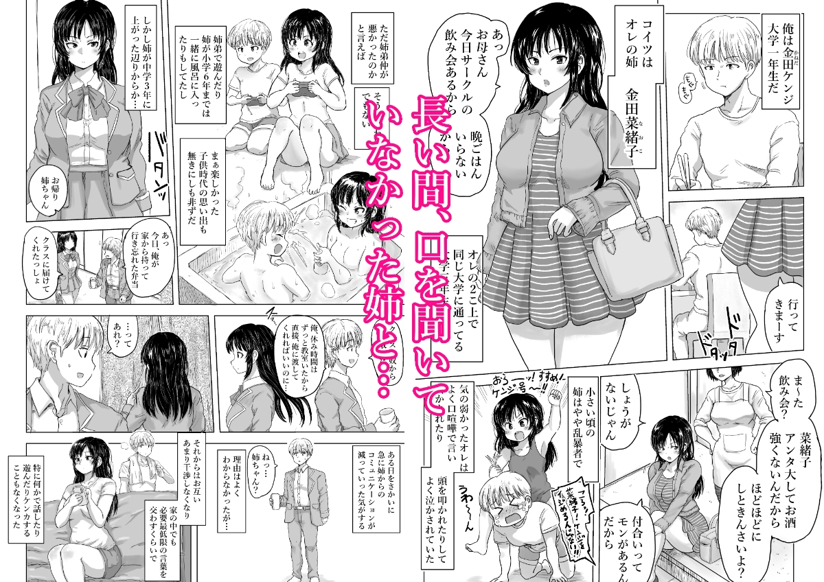 強気な姉が俺専用のオナホになった話 – Preview 2
