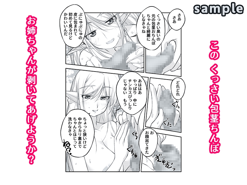 剥いてくれるエルフ姉が欲しかった – Preview 4