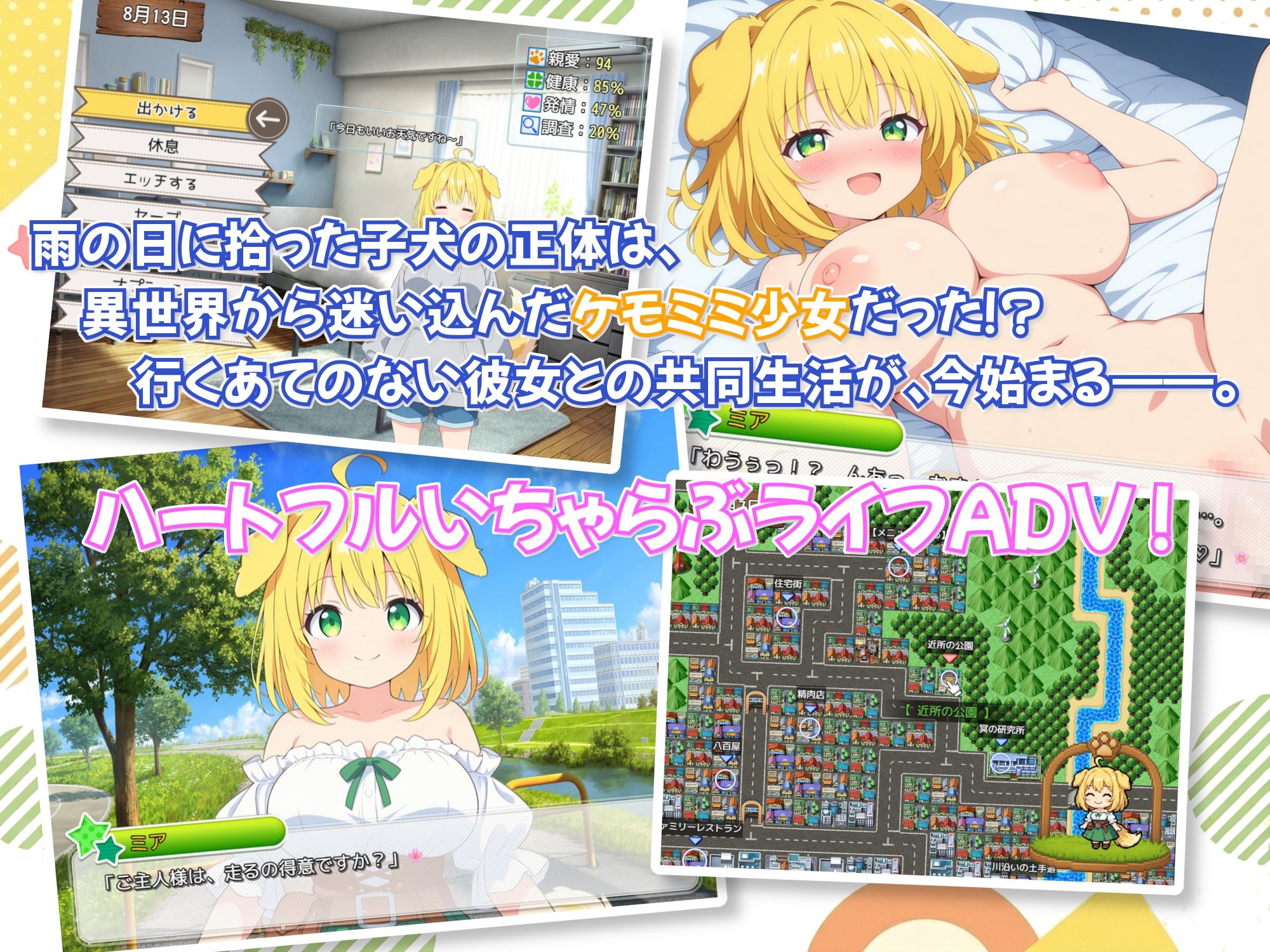ケモミミの女の子、拾いました！