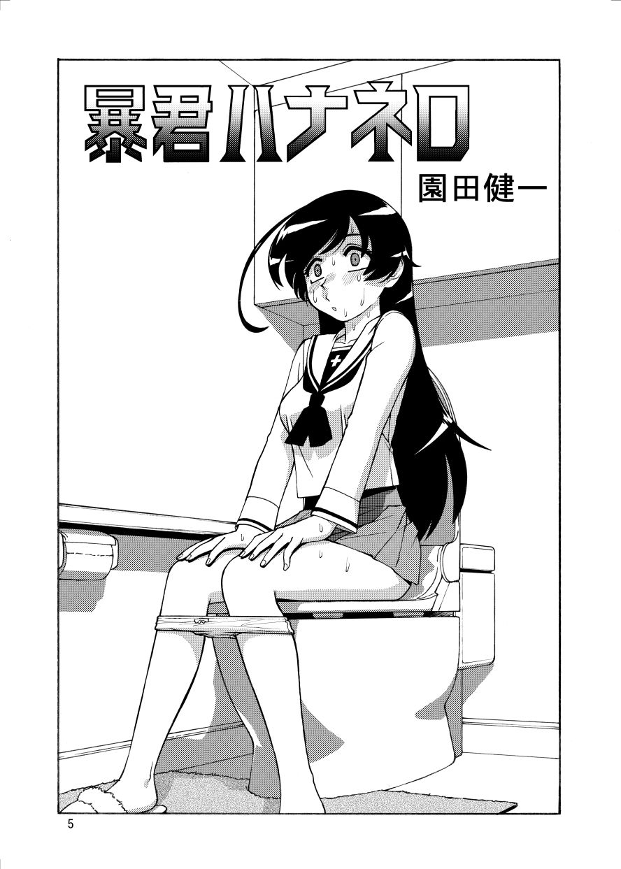 メガトンパンツァー24