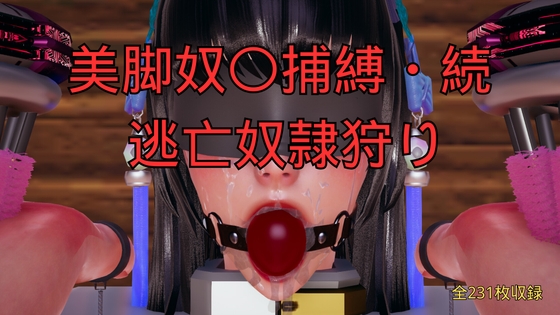 美脚奴〇捕縛・続 逃亡奴○狩り – main preview