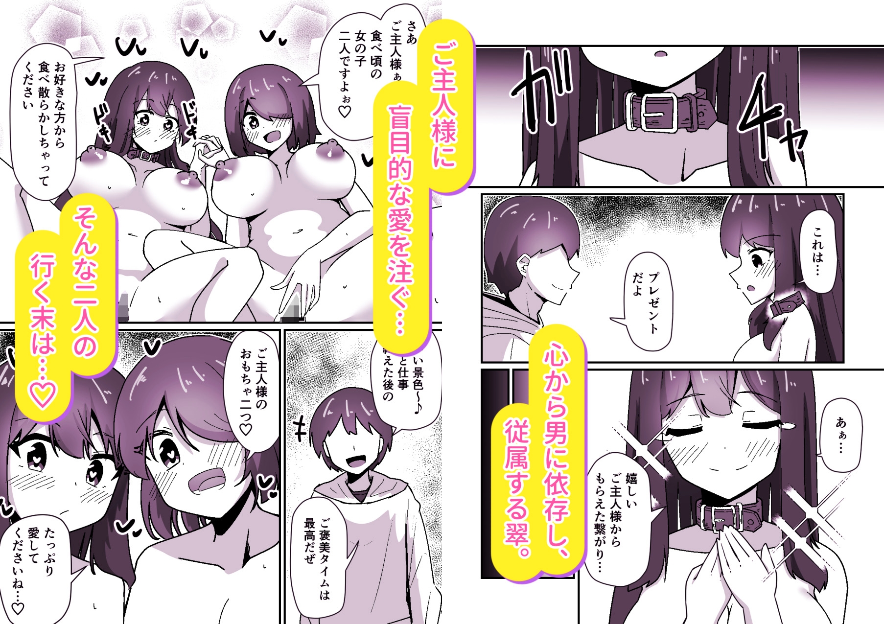 正義の探偵姉妹は催○奴○になりました。 – Preview 6