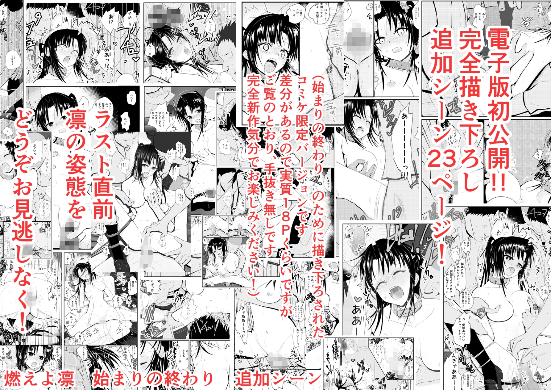 燃えよ凛 総集編 新装全裸版