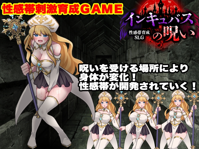 性感帯育成SLG インキュバスの呪い – Preview 2