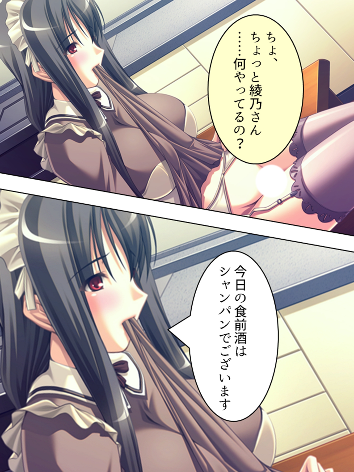 黒髪お姉さんメイドの桃色いちゃらぶご奉仕生活 <総集編> – Preview 5