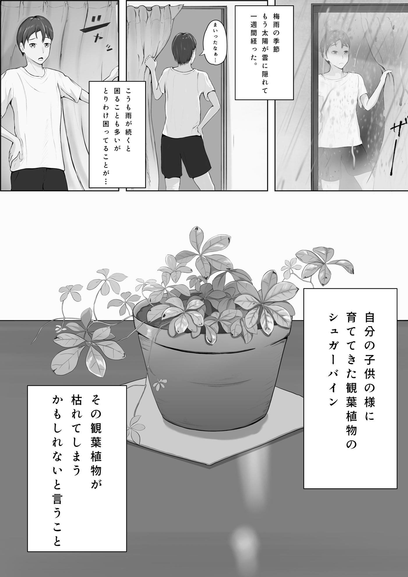 水やりおねがいします！！